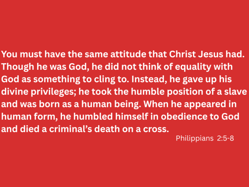 So – Now&nbsp;What?