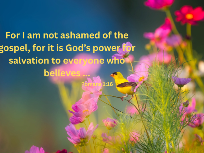 The Woman with the Issue of Blood, Part&nbsp;2