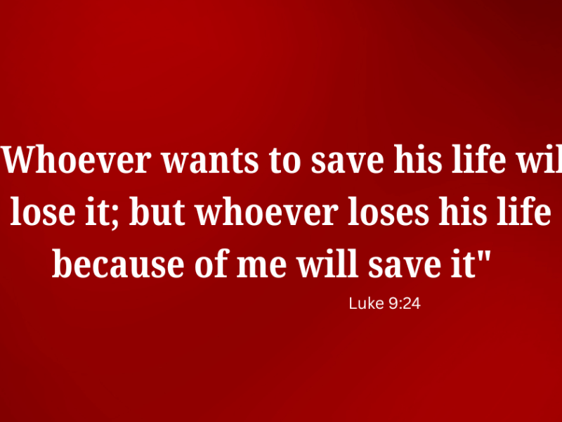 The True Harlot&nbsp;Mother