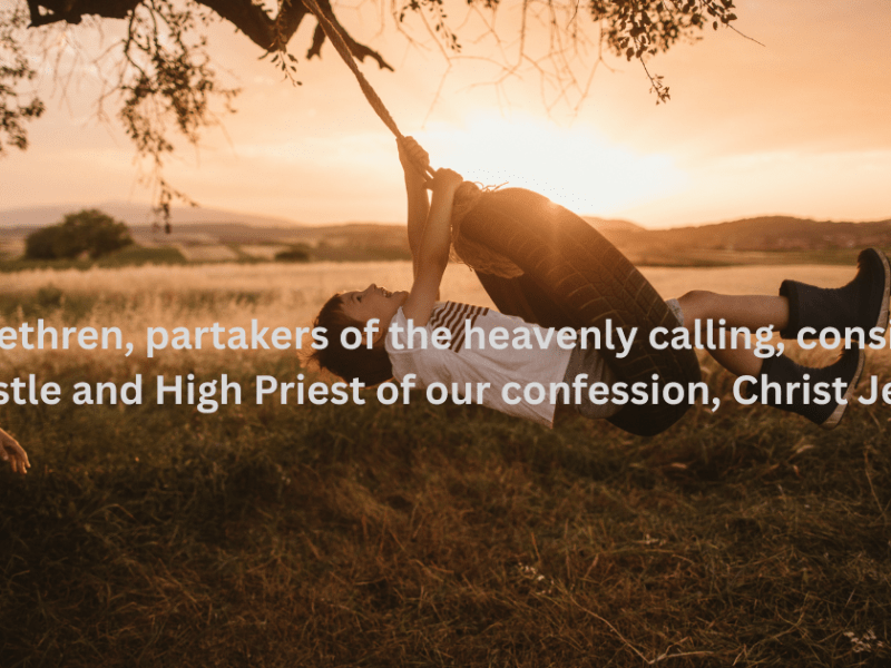 Apostle of Our&nbsp;Confession