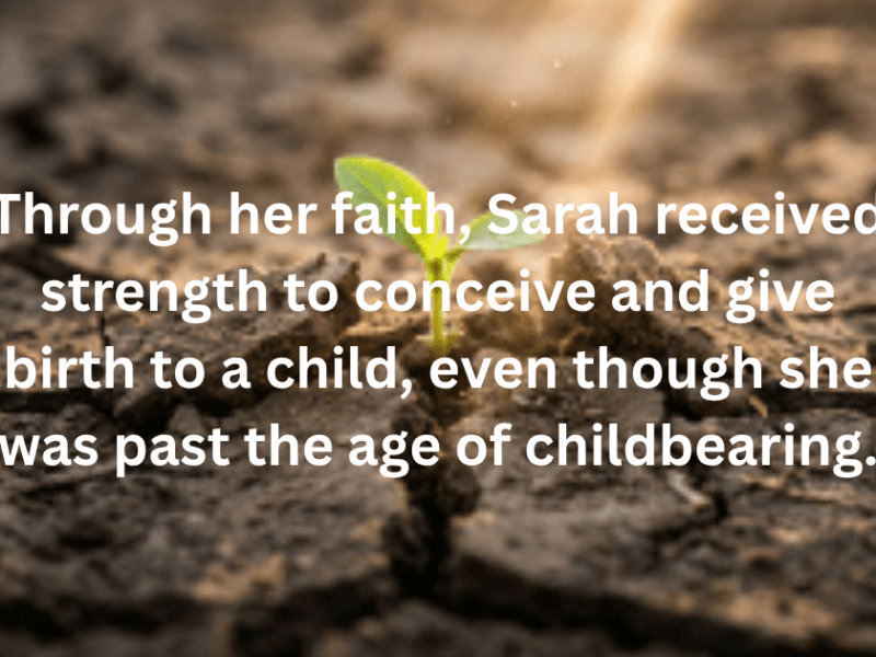 Evidence of Sarah’s&nbsp;Faith