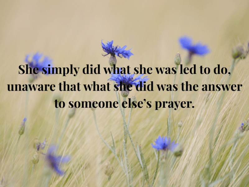 Rebekah, Part 2 ~ “I will&nbsp;go.”