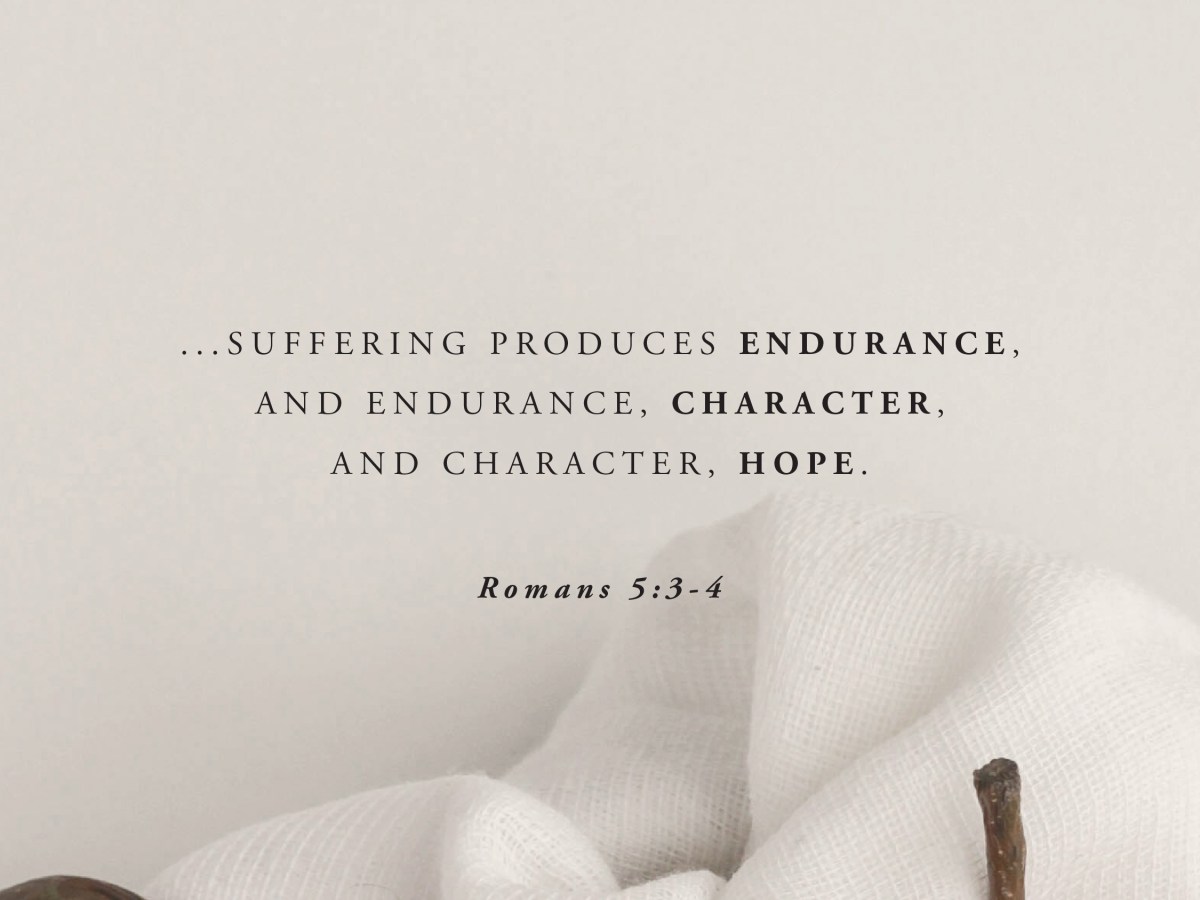 The Slow, Sacred Work of&nbsp;Patience